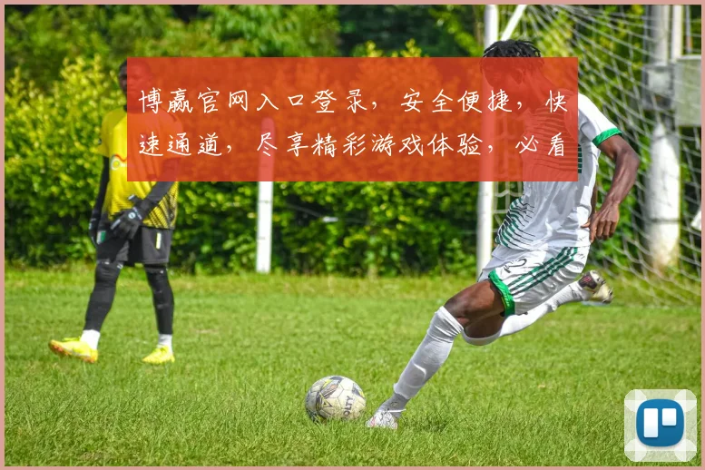 博赢官网入口登录，安全便捷，快速通道，尽享精彩游戏体验，必看攻略