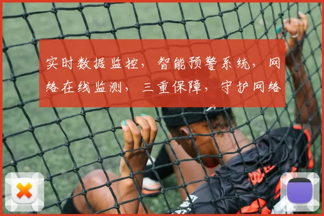 实时数据监控，智能预警系统，网络在线监测，三重保障，守护网络安全