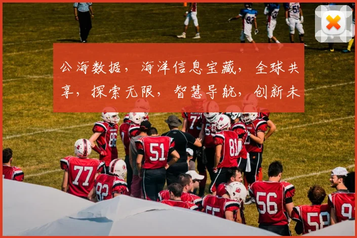 公海数据，海洋信息宝藏，全球共享，探索无限，智慧导航，创新未来，数据驱动。