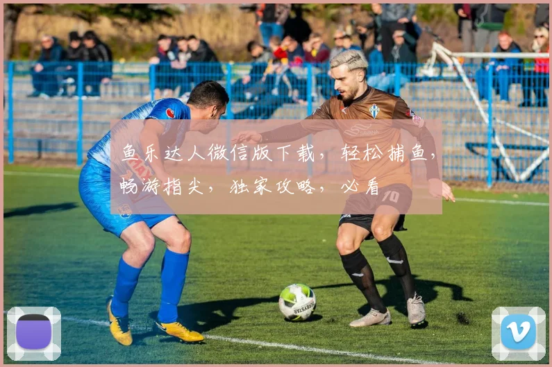 鱼乐达人微信版下载，轻松捕鱼，畅游指尖，独家攻略，必看